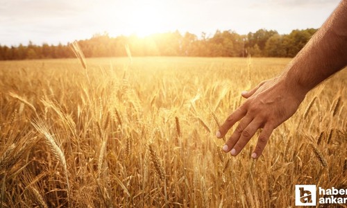 Kahramankazan Belediyesi'nden çiftçilere eğitim programı!