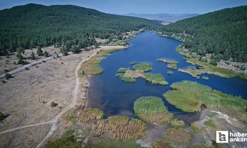 Türkiye'nin 23. tabiat parkı Ankara merkeze 110 km mesafede bulunuyor