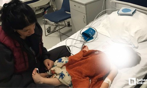 Etimesgut'ta pitbull saldırısında iki çocuk yaralandı