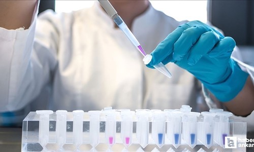 DSÖ açıkladı: 2024 yılında 1,3 milyon kişi AIDS'e yakalandı