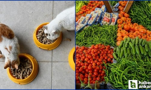 Kasım ayında fiyatı en çok artan ve azalan ürünler açıklandı!