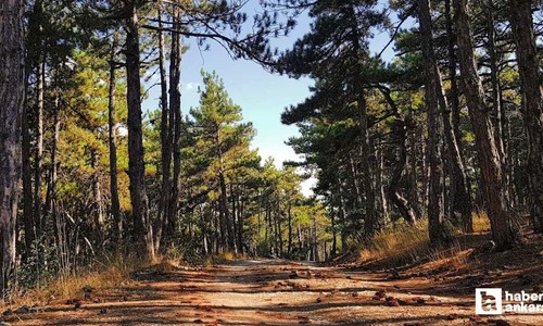 Ankara'nın geçmişi Roma dönemine kadar dayanan doğal güzelliği büyülüyor