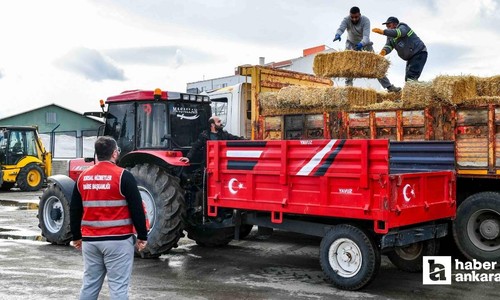Ankara Büyükşehir Belediyesi'nden ücretsiz kaba yem desteği!