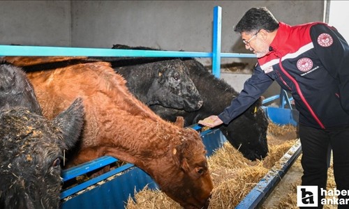 Bakan Yumaklı, Polatlı'da Kırsalda Bereket, Hayvancılığa Destek Projesi'nden yararlanan bir işletmeyi ziyaret etti