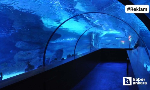 Ankara'nın okyanusa açılan tüneli! İçinde gezilen dev akyaryum: Aqua Vega