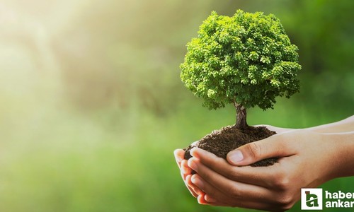 OGM, bugüne kadar başkentte 320 okulun bahçesine fidan dikimi gerçekleştirdi