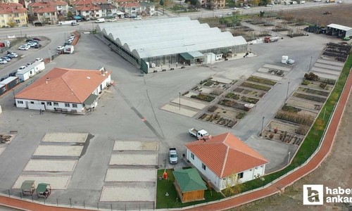 Keçiören Belediyesi modern serasında ürettiği çiçeklerle ilçeyi süslüyor