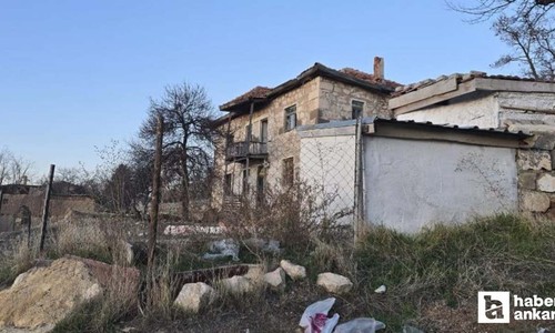 Haymana'da köpek çocuklara saldırdı: 14 yaşındaki çocuk ağır yaralandı