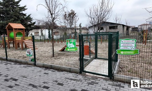 Etimesgut Belediyesi parklarda evcil hayvan parkurları oluşturdu