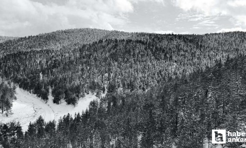 Kızılcahamam, Çubuk ve Çamlıdere'de yaylalar beyaza büründü