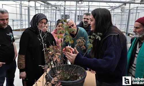Keçiören Belediyesinden çiftçiler için uygulamalı tarımsal eğitim!