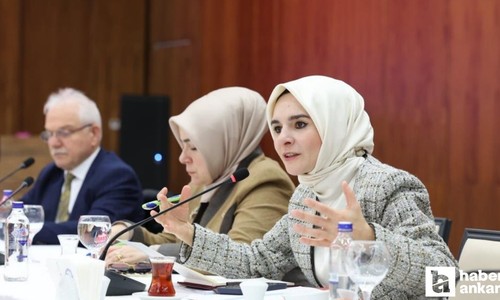 Bakan Göktaş: 'Sosyal medya düzenlemesine ilişkin çalışmalarımızı paylaştık'