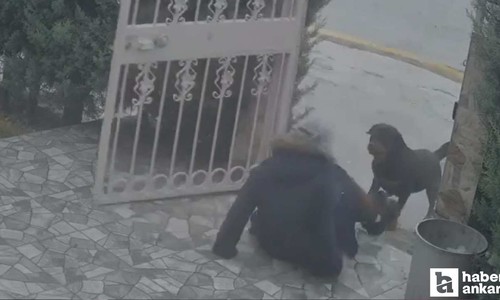 Elmadağ'da sahipsiz köpeklerin saldırdığı kadını komşusu kurtardı