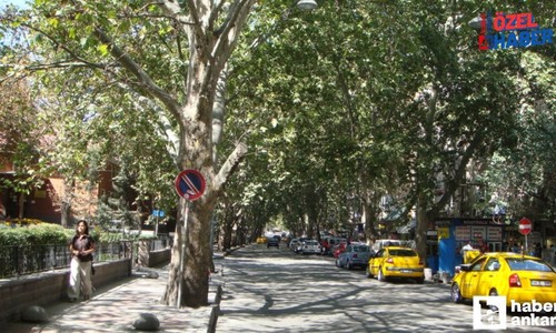 Kızılay’ın Sessiz Yüzü Kumrular Sokak