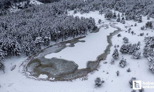 Gerçek Ankaralılar Uludağ'ı değil burayı seçer: Başkentin Aspen'i