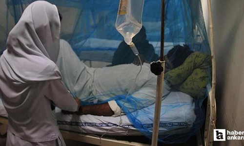 Hindistan'da Nipah virüsü için alarm verilip kapsamlı önlemler alındı