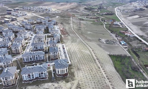 Sincan Belediyesi Saraycık Mahallesi'nde ağaçlandırma çalışması yapacak