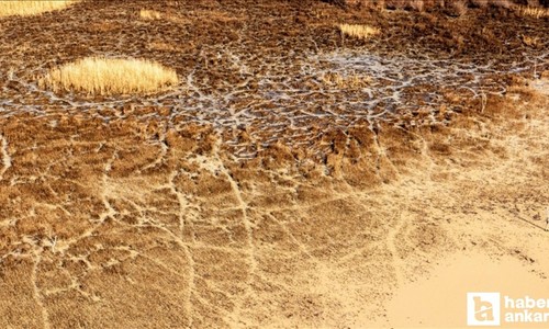 Prof. Dr. Mikdat Kadıoğlu: 'Ankara son 47 yılın en kurak dönemini yaşadı'