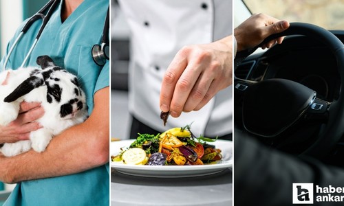 Yenimahalle Belediyesinin şirketine aşçı, veteriner, şoför alınacak!