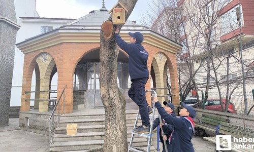 Akyurt'ta beslenme ve barınma sorunu yaşayan kuşlar için harekete geçildi