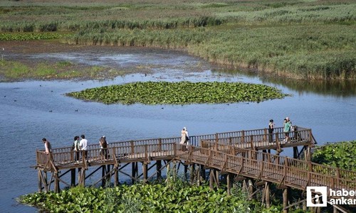 Hafta sonu kaçamağı için Ankaralılar buraya akın ediyor: Adıda kendide cennet