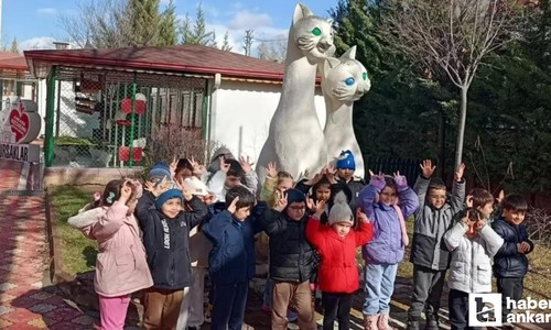 Pursaklar'da minikler kedi evlerini ziyaret etti