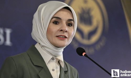 AİLEM aracılığıyla 260 binden fazla çağrıya tercüme desteği verildi