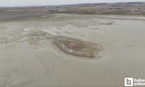 Ankara'da allı turnaların yuvasıydı: Kuraklık vurdu, yok oldu!