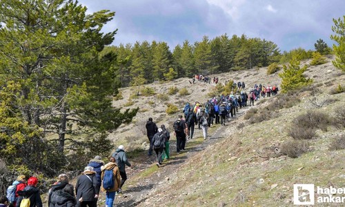 ABB'nin Şahinler Tabiat Parkı'na düzenlediği yürüyüşe katılım yoğun oldu