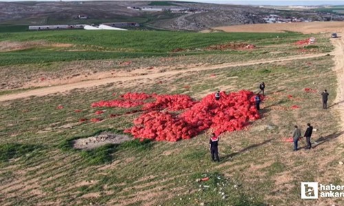 Ticaret Bakanlığı, Polatlı’da boş araziye dökülen soğanlar için harekete geçti
