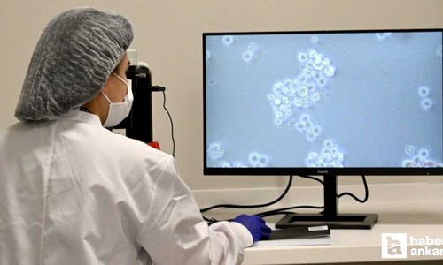 Kan kanseri tedavisinde yeni umut: Hücre tedavisi dönemi start aldı