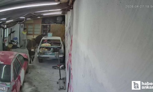 Elmadağ'da ahırdan kaçan inekler oto tamirciyi bastı!