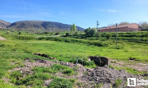 Ayaş'ta komşular arasında köpek kavgası iddiası: 1 ağır yaralı