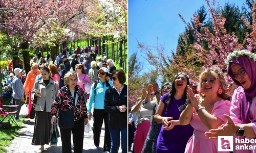 Başkentli kadınlar Sakura Şenliği'ne katıldı