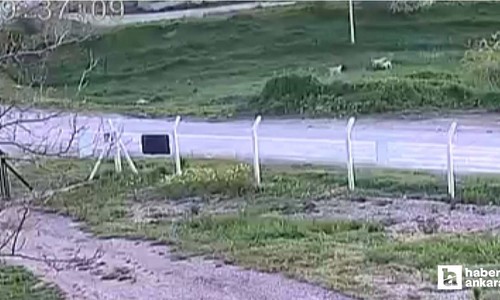 Ayaş'ta baba ile oğlunun demir çubukla komşularını hastanelik ettiği iddiası