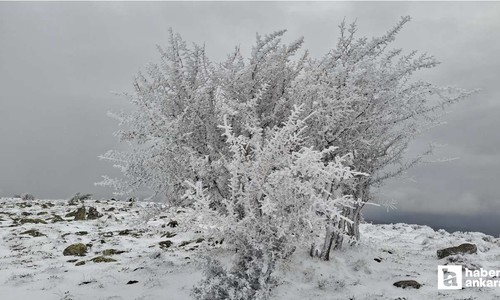 Beypazarı'nın yüksek kesimlerinde yol ve ormanlar beyaz örtüyle kaplandı