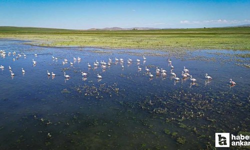 Ankara'da deniz yok diye üzülenler burada sandalla açılıp balık tutuyor!