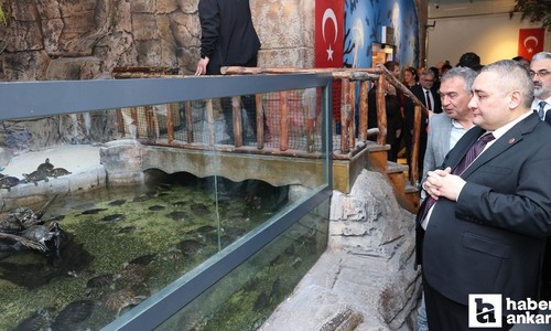 Keçiören'de Deniz Dünyası yenilendi: Ziyaretçilerini bekliyor