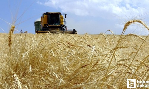 Tarımsal destekleme ödemesi bugün hesaplara yatırılacak
