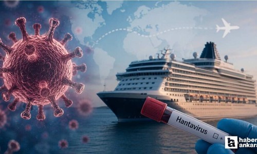 Hantavirüsten korunmak için gıda hijyeni şart!
