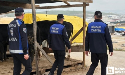Sincan Belediyesi kurban pazarlarını denetlemeye devam ediyor!