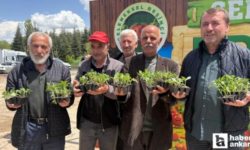 Pursaklar'da 5'nci geleneksel ata tohum sebze fidesi dağıtım etkinliği düzenlendi!