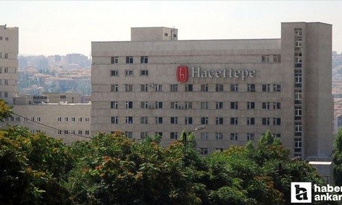 Hacettepe Üniversitesi 68 öğretim üyesi alımı yapacak!