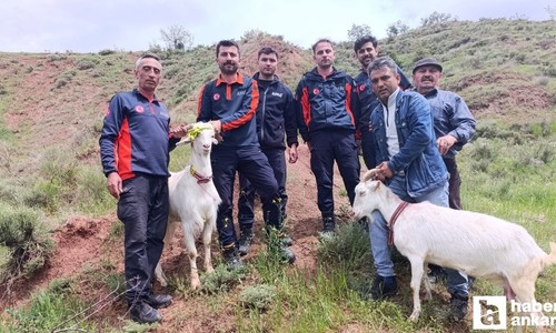 Nallıhan'da 2 gündür kayalıkta mahsur kalan 2 keçi kurtarıldı