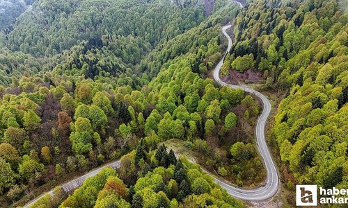 Bakan Yumaklı, orman yangınlarına karşın vatandaşları uyardı