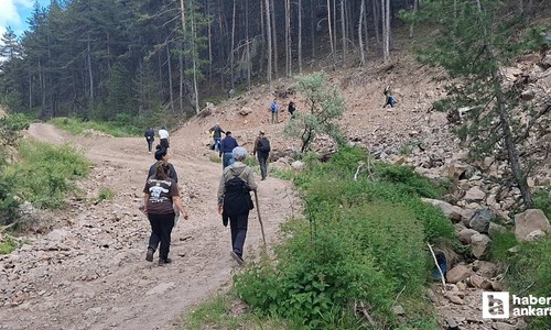 Beypazarı'nda kayıp olan yaşlı adam 3 gündür aranıyor