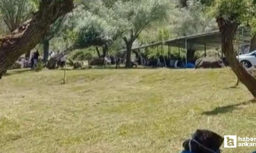 Beypazarı'nda yağışlar için şükür duası edildi