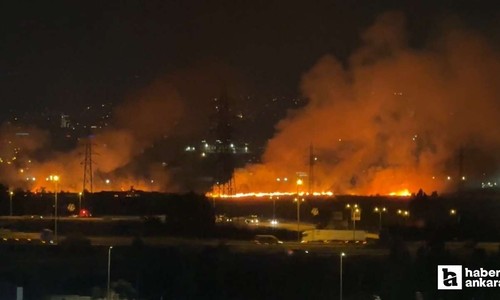 Etimesgut'ta otluk alanda çıkan yangın söndürüldü