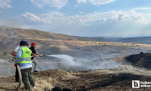 Nallıhan'da arazi yangını erken ihbarla büyümeden söndürüldü