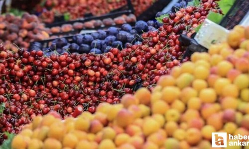 Haziran ayında fiyatı en çok artan ve azalan ürünler açıklandı